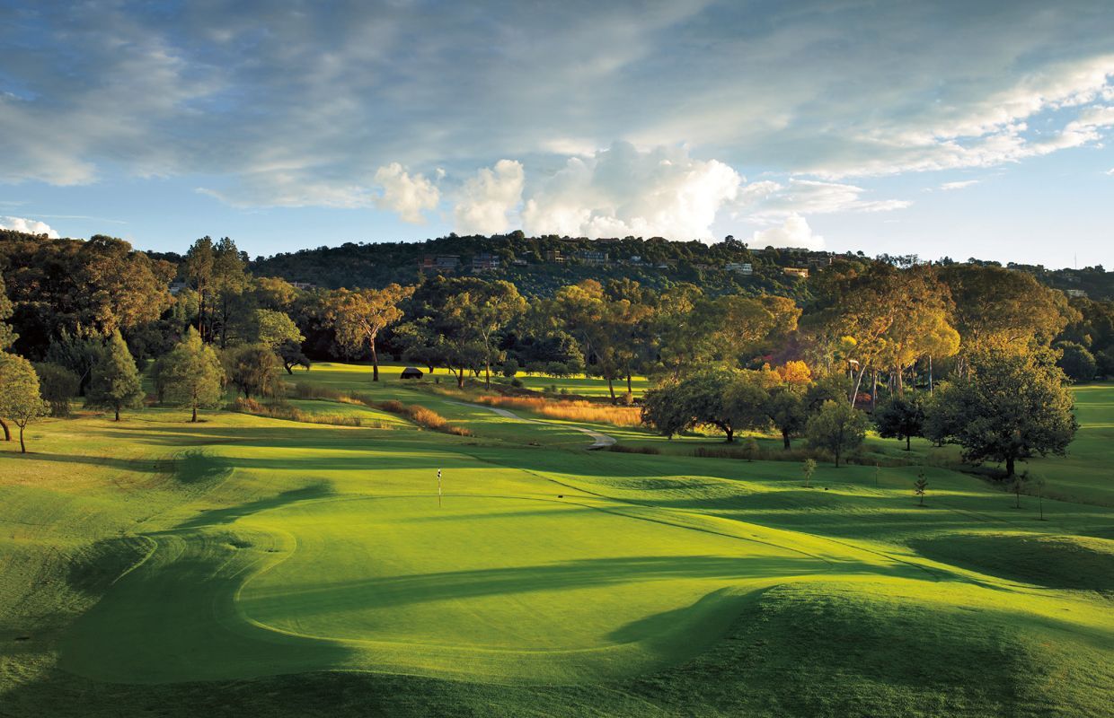 Sunlit golf green on a Johannesburg hillside course